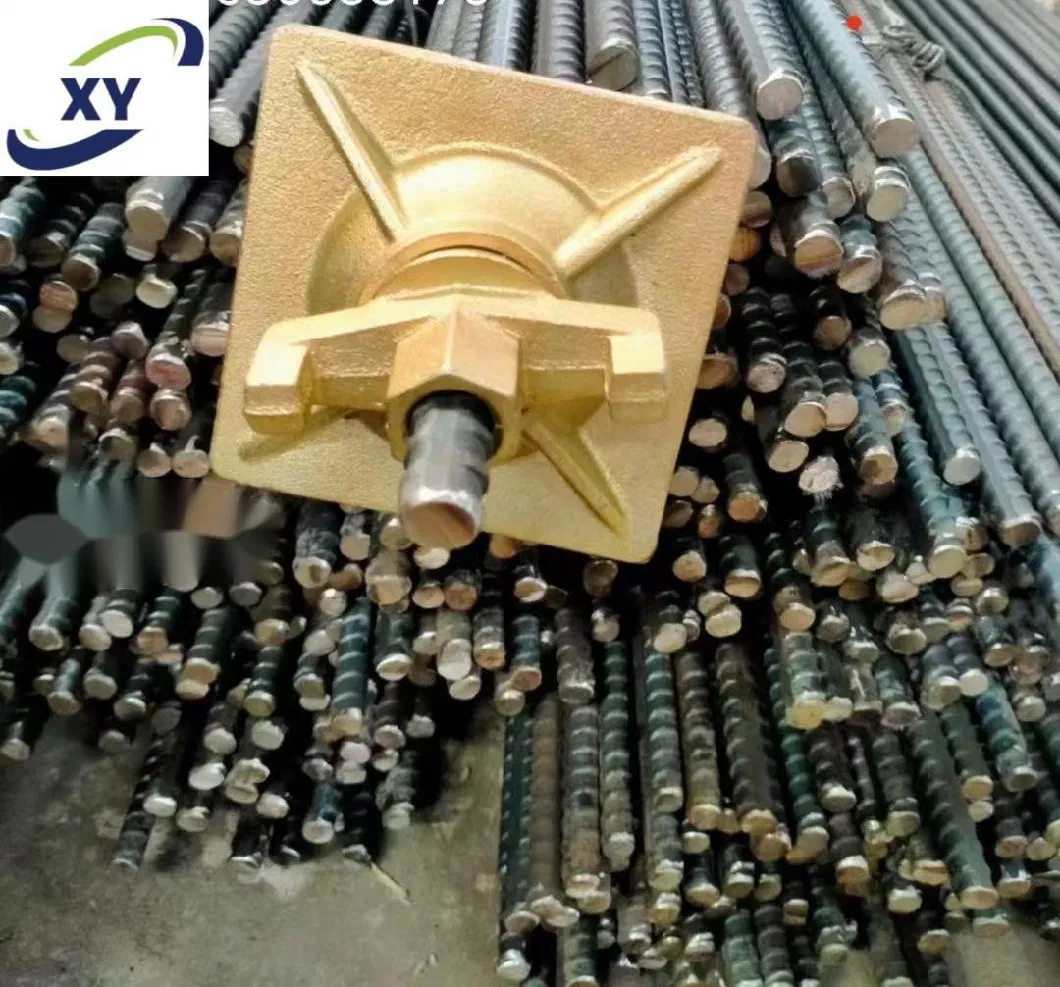 Hot Rolled /Cold Rolled Steel Rebar Steel Coil Rod Threaded Rod and Formwork Tie Rod with Wing Nut From China Factory