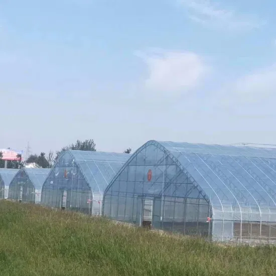 Wassermelonen-Gewächshaus-Skelettmaschine liefert Gewächshauszubehör kostenlos